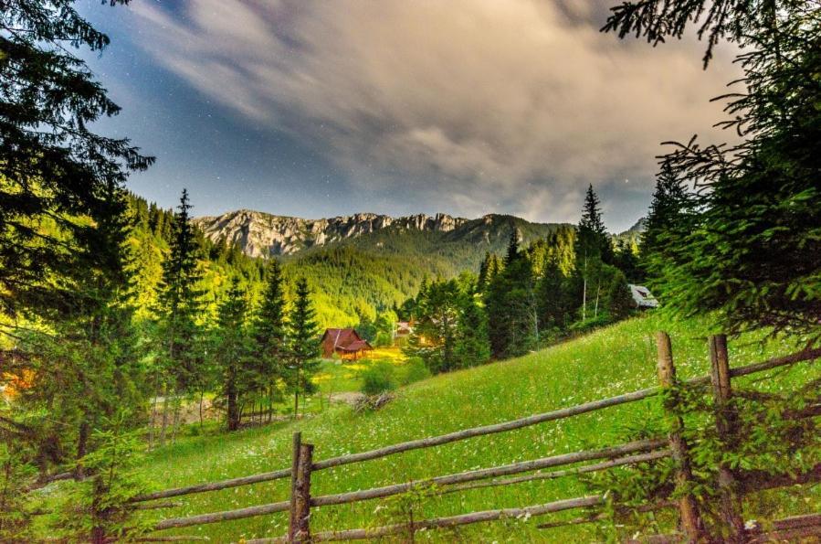Pension Harmonia Miercurea Ciuc Luaran gambar
